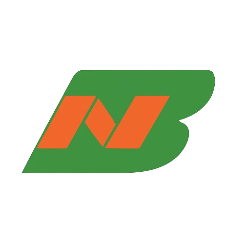 Barracosa Nunes Logo