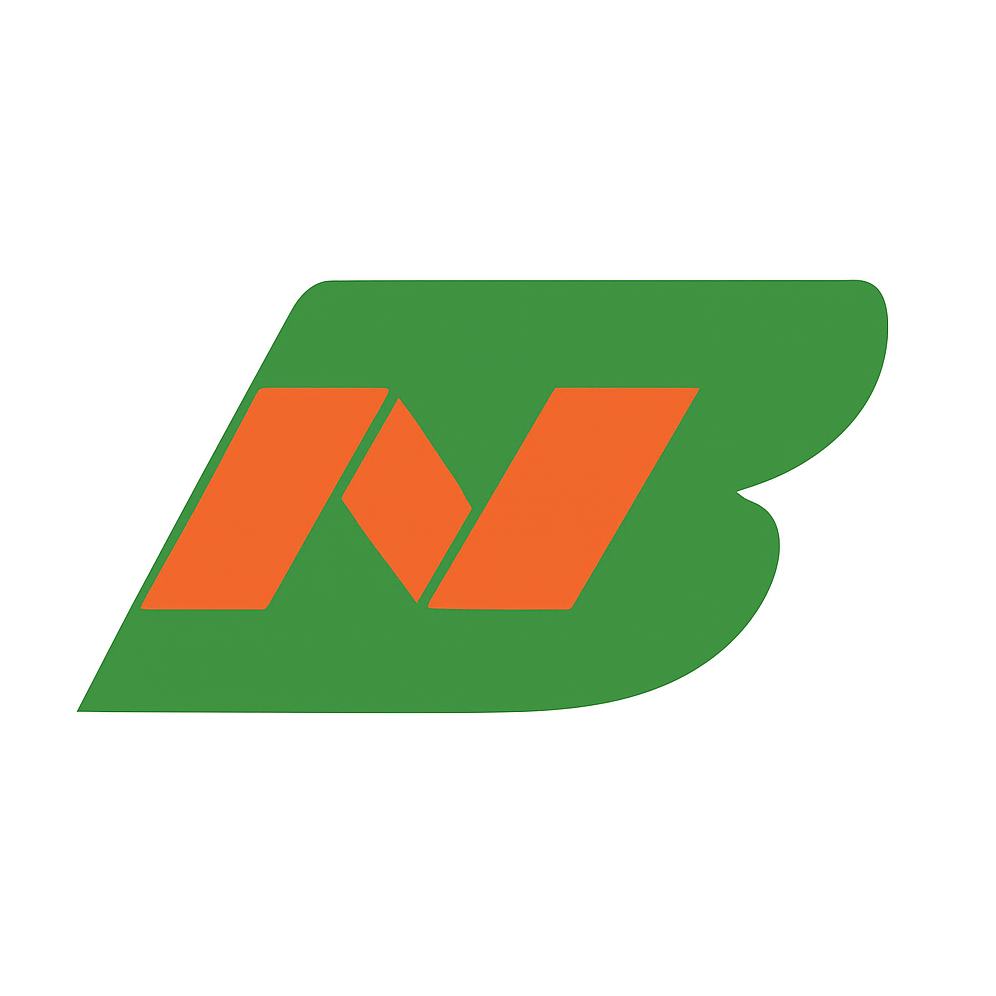 Barracosa Nunes Logo